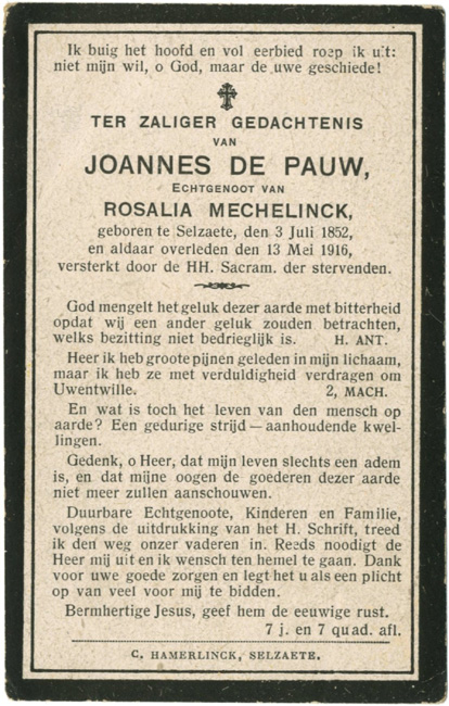 Joannes De Pauw