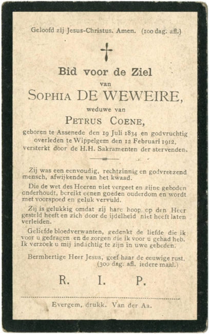 Sophia De Weweire