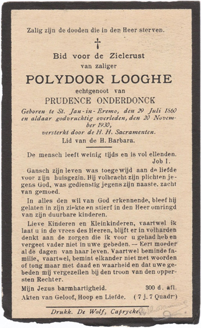 Polydoor Looghe