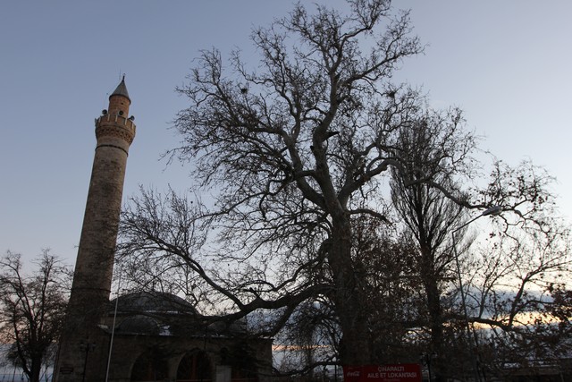 La mosquée et le platane à Harput