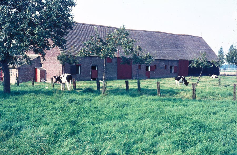 De boerderij van Leonard en Pelagie: de schuur